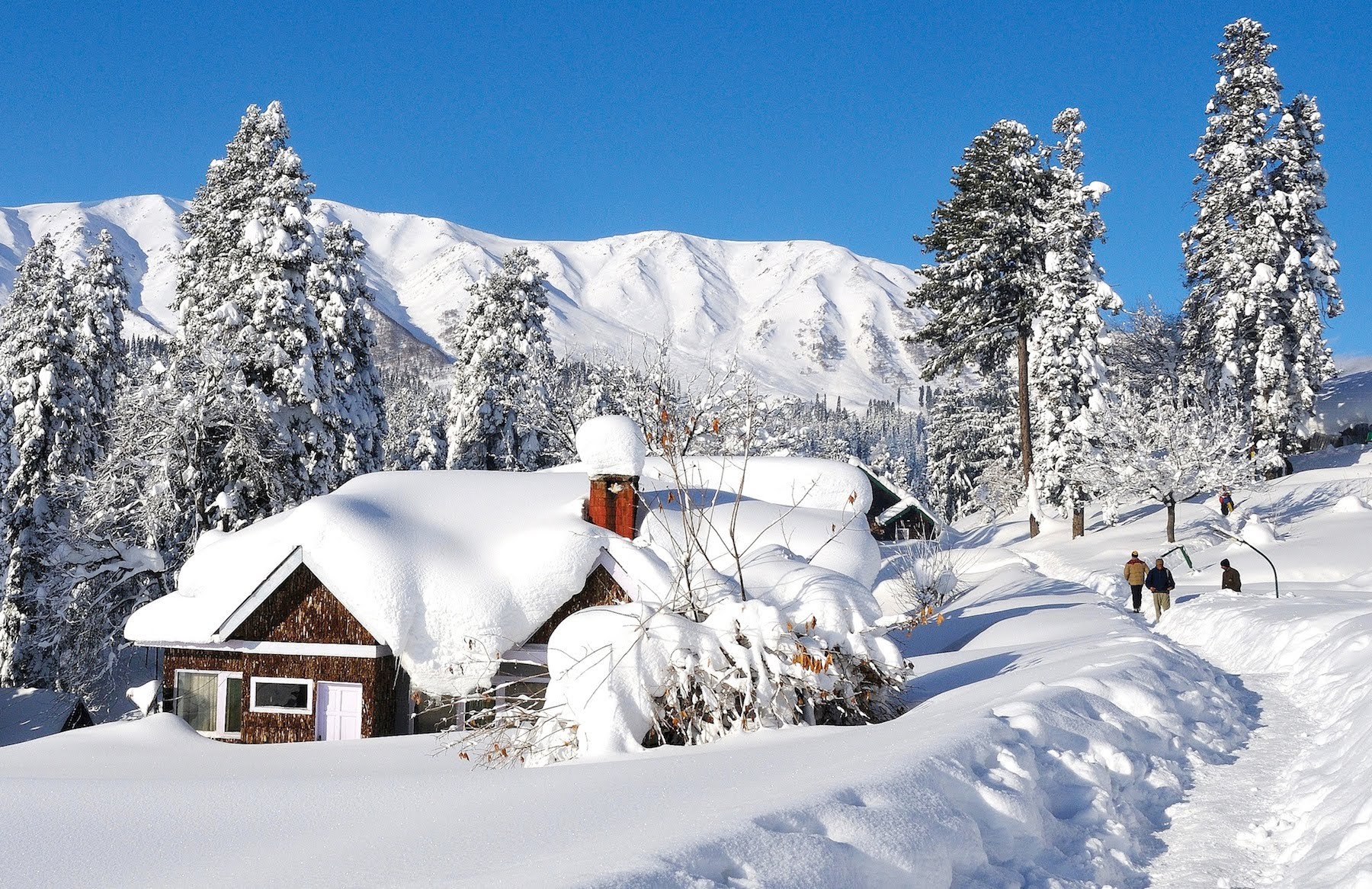 Tips about Gulmarg Tours?