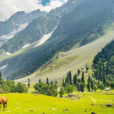 Yusmarg
